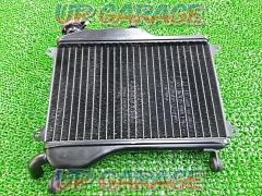 YAMAHA (Yamaha)
Genuine radiator
TZR250 (1KT)