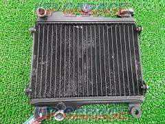 Kawasaki(カワサキ) 純正ラジエーター KR250(詳細年式不明)