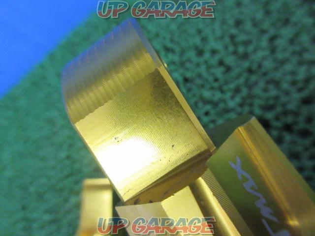 Unknown Manufacturer
Tandem Step Peg
Right and left
TMAX/TMAX530('12-'19)-05
