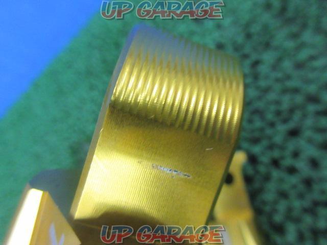 Unknown Manufacturer
Tandem Step Peg
Right and left
TMAX/TMAX530('12-'19)-06