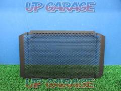 Unknown Manufacturer
Radiator core guard
XSR900 ('18) removed