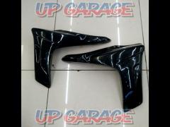 Unknown Manufacturer
Side Aero cowl