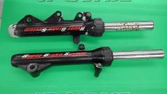 YAMAHA
Cygnus X genuine front fork