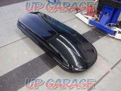 TERZO (Teruttsu~o)
Roof box