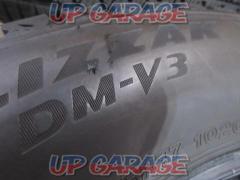 BRIDESTONE BLIZZAK DM-V3 (W03498)