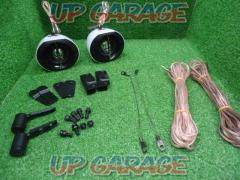 carrozzeria
TS-STX 510
Satellite speaker
2 pieces
W03439