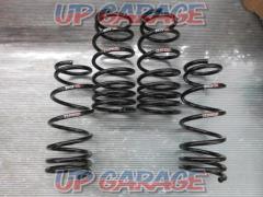 RS-R (Earl S. Earl)
TI2000
Down suspension
Cervo / HG 21 S