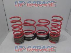 STi (Subaru Technica International)
Down spring