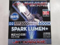 RG POWER HID (W03454)