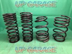 RS-R (Earl S. Earl)
[S650W]
EVERY for wagon
Down suspension /DownSUS
(Black)
1 cars