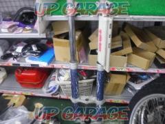 5KAWASAKI
Genuine
Front fork