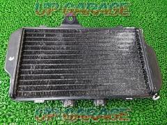 YAMAHA (Yamaha)
Genuine radiator
FZR250R (3LN)