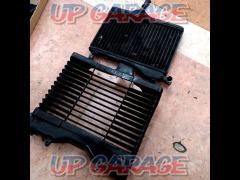 YAMAHA (Yamaha)
radiator + cover set