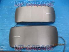 TS-STH1000
Satellite speaker