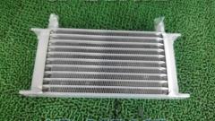 Unknown Manufacturer
Straight oil cooler core
General purpose
11 steps / 10 inches