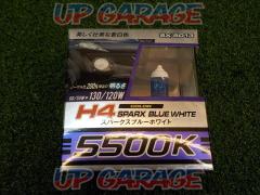 Nissin Shokai Co., Ltd.
H4
Halogen valve
SPARX
BLUE
WHITE
SX-5013