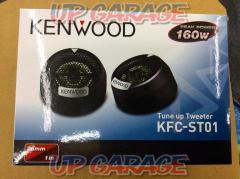 KENWOOD (Kenwood)
KFC-ST01
Tweeter