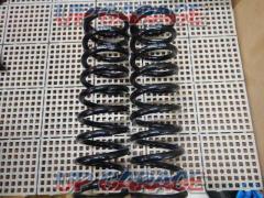 RX2210-1012
TEIN
Series winding spring