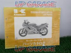 Kawasaki
ZZ-R250
Parts catalog