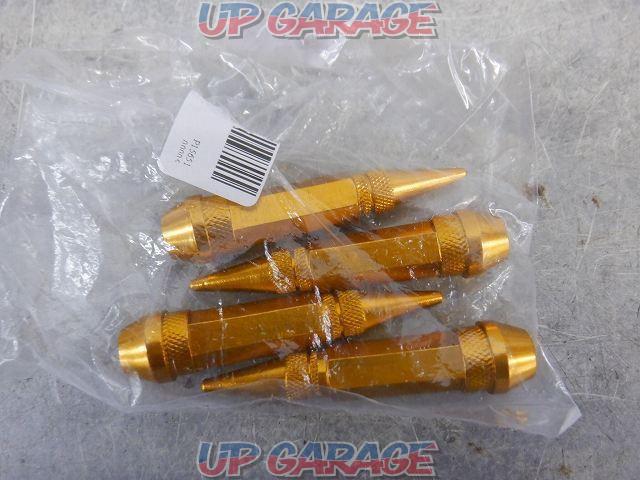 Unknown Manufacturer
Air valve cap (gold)-01