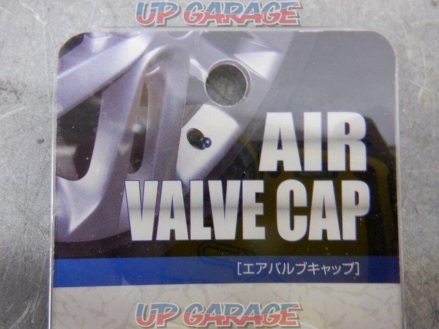 ALPHA
Air Valve
DS-91 (titanium)-03