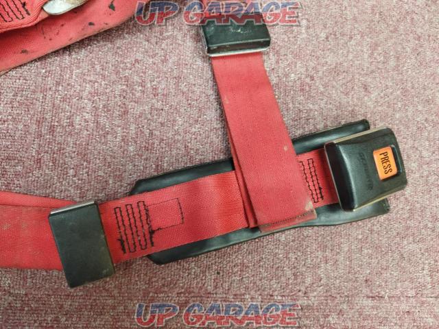 SCHROTH
4-point seat belt
Red
2 inches
2022.06 Price cut!-04