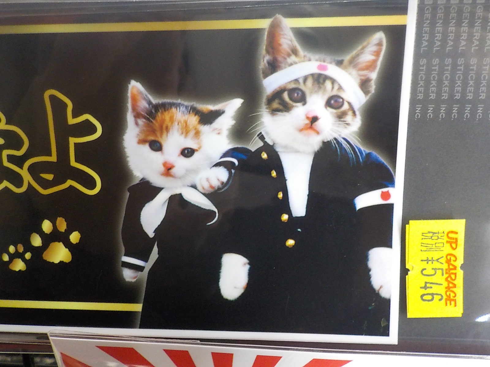 夜露死苦 アップガレージ姫路店 公式shopブログ