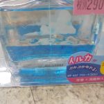 新商品入荷♥♥